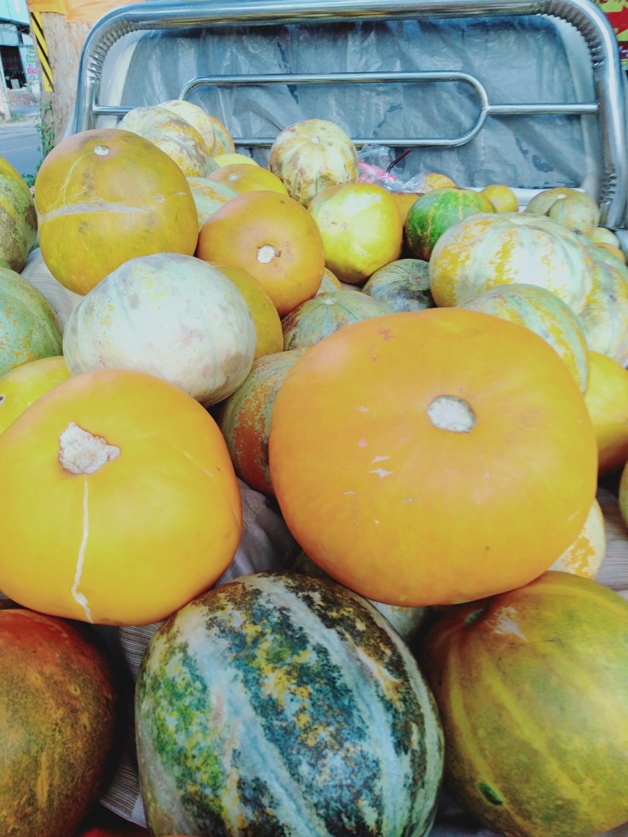 f:id:visvachie:20190721153324j:plain f:id:visvachie:20190721153324j:plain