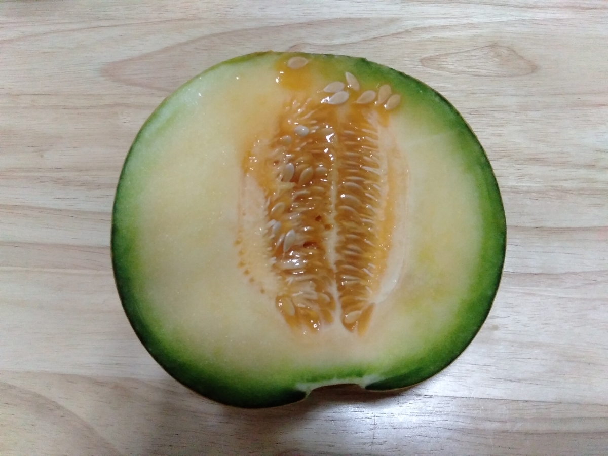 f:id:visvachie:20190721153535j:plain f:id:visvachie:20190721153535j:plain