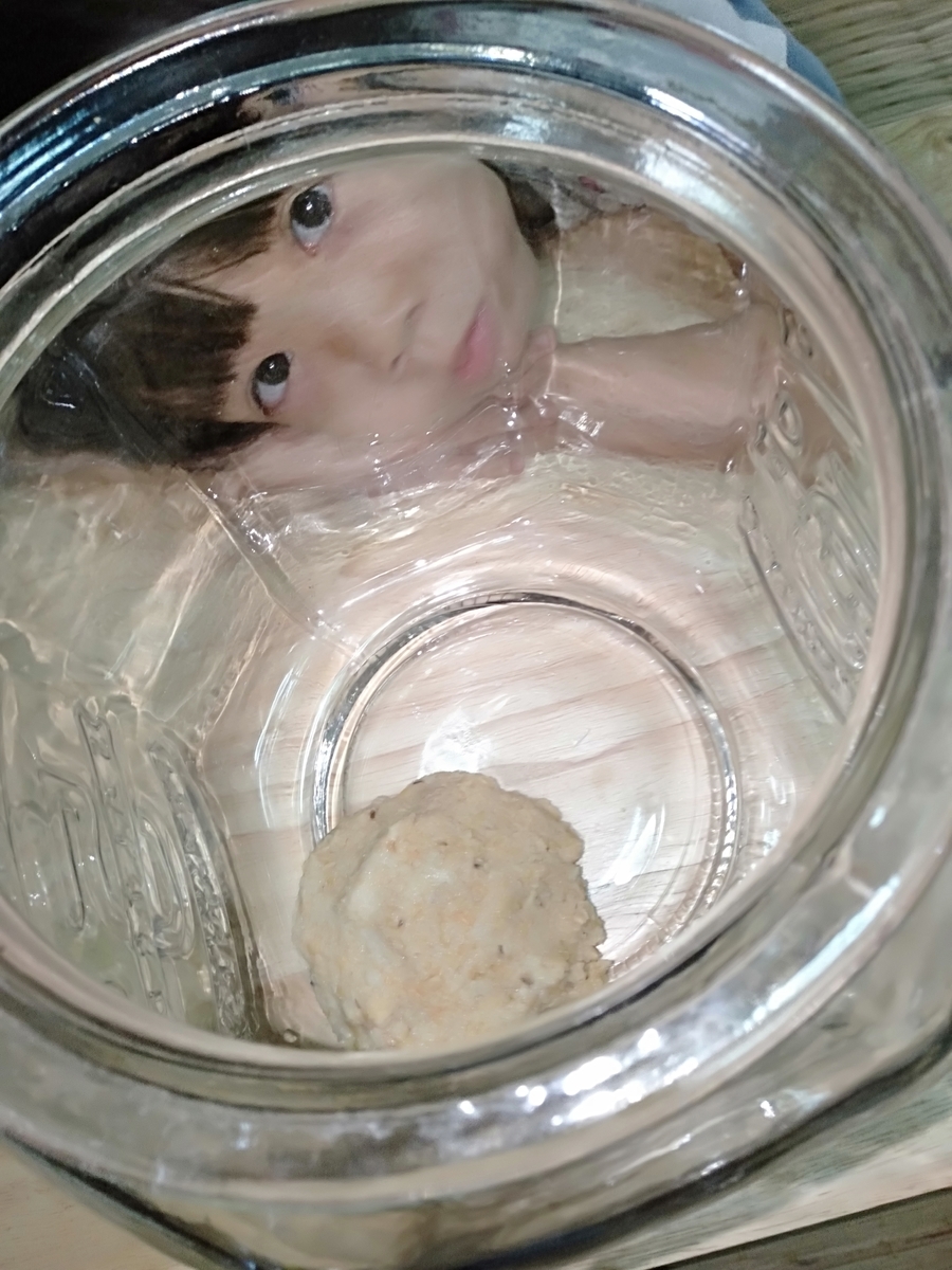 f:id:visvachie:20200125172710j:plain f:id:visvachie:20200125172710j:plain