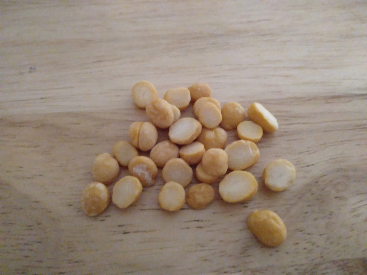 f:id:visvachie:20200222155126j:plain f:id:visvachie:20200222155126j:plain