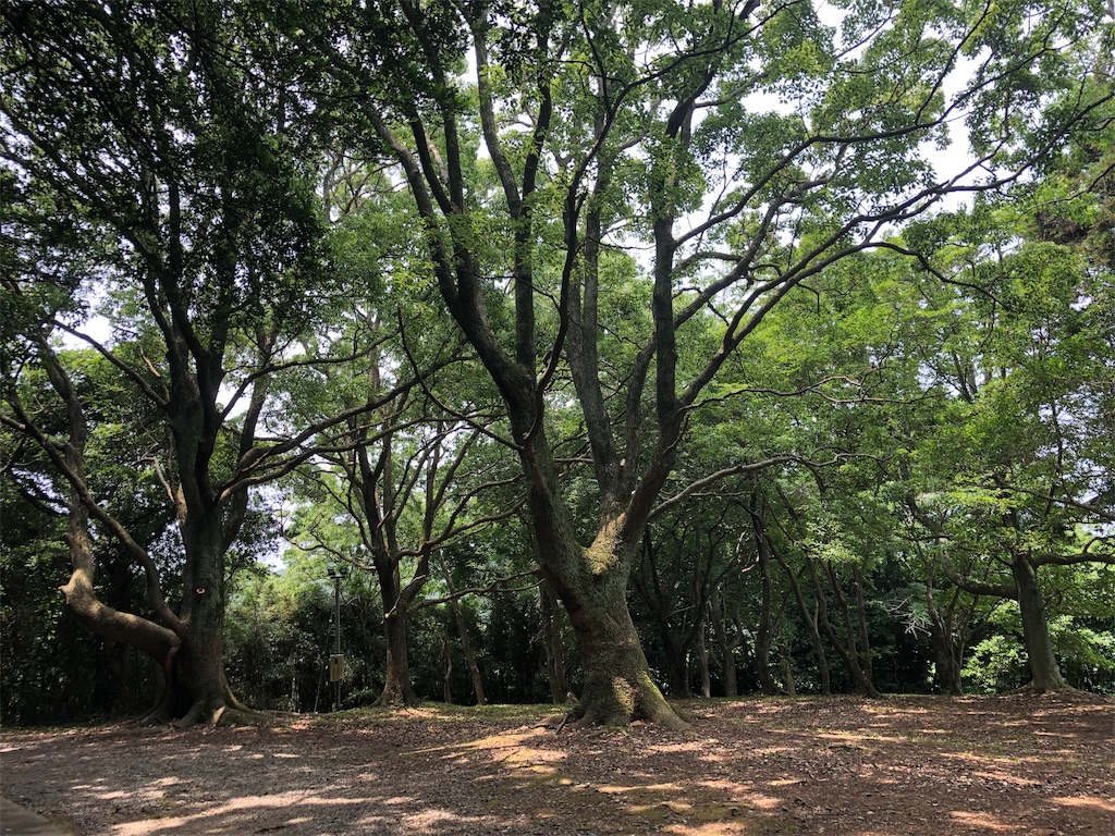f:id:vitamin339:20190701123701j:image f:id:vitamin339:20190701123701j:image