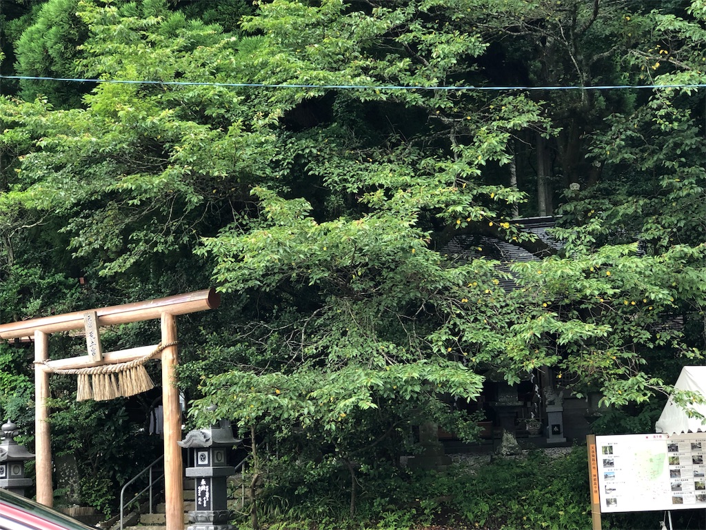 f:id:vitamin339:20190708132420j:image f:id:vitamin339:20190708132420j:image