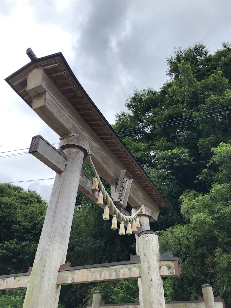 f:id:vitamin339:20190708141225j:image f:id:vitamin339:20190708141225j:image