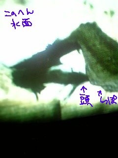 f:id:vitamin_G:20060714023303j:image f:id:vitamin_G:20060714023303j:image