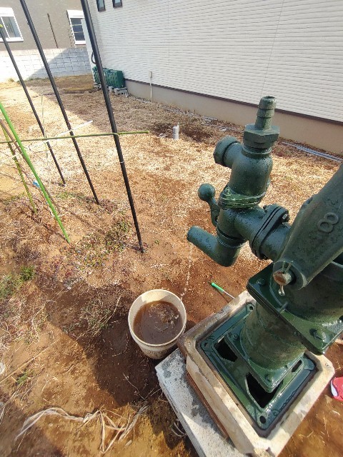 吸い上げ成功