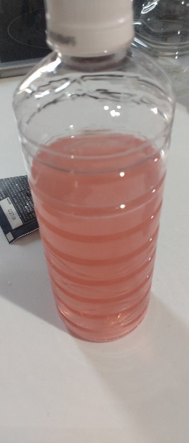 実飲の様子