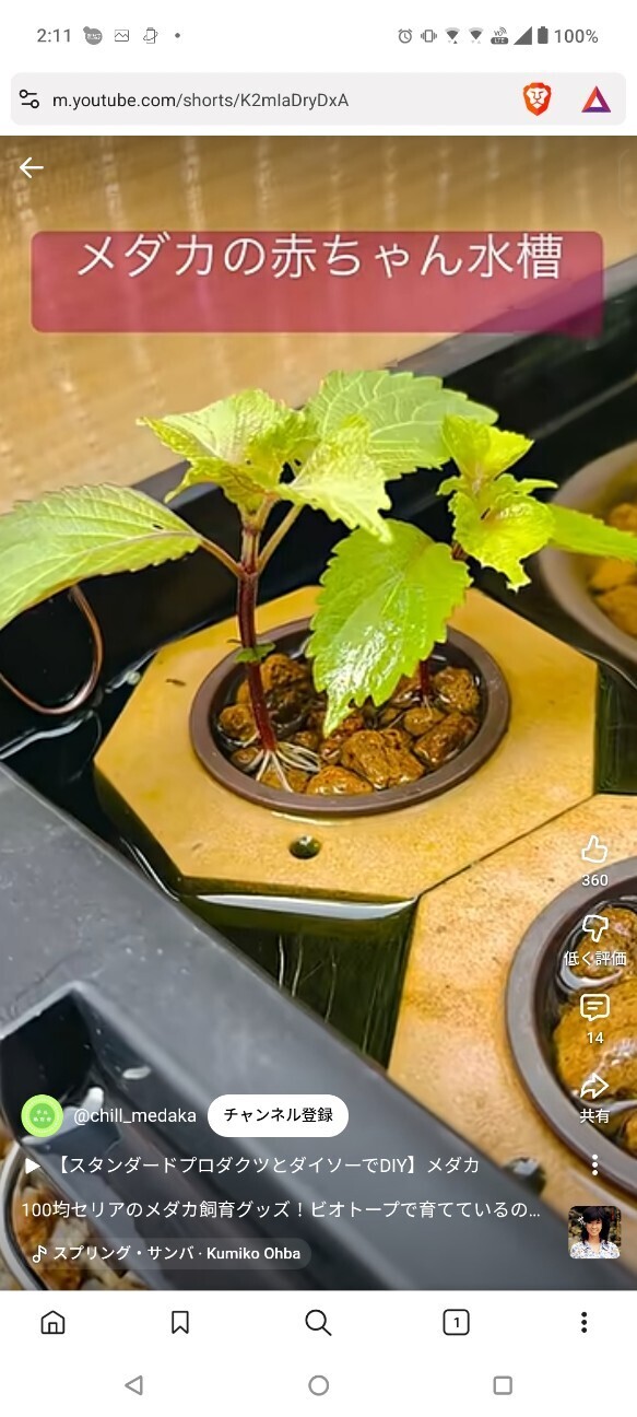 セリア水草ポット