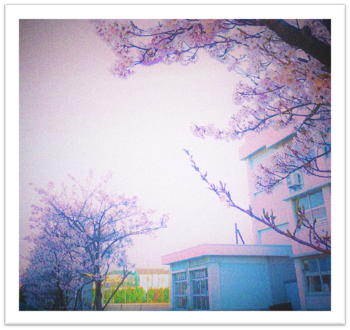 f:id:viva-la-noche:20190530150222p:plain f:id:viva-la-noche:20190530150222p:plain