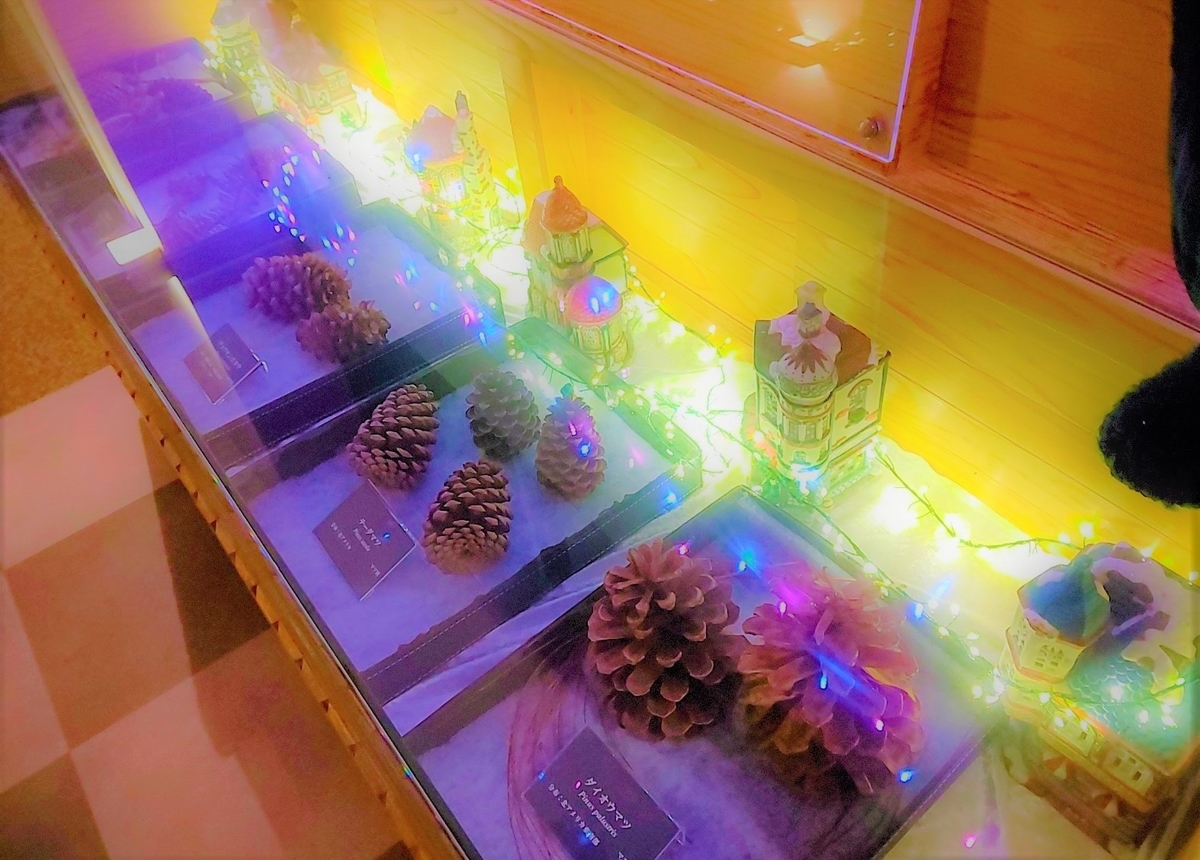f:id:viva-la-noche:20191225100220j:plain f:id:viva-la-noche:20191225100220j:plain