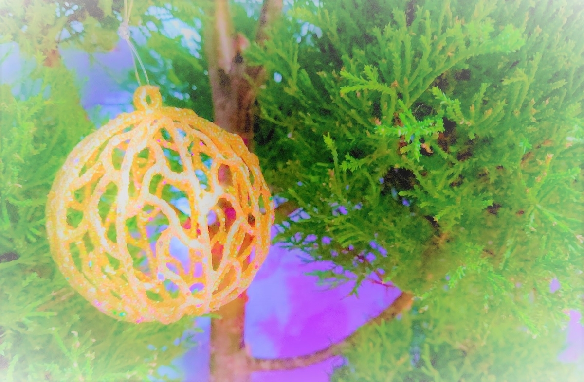 f:id:viva-la-noche:20191225101425j:plain f:id:viva-la-noche:20191225101425j:plain