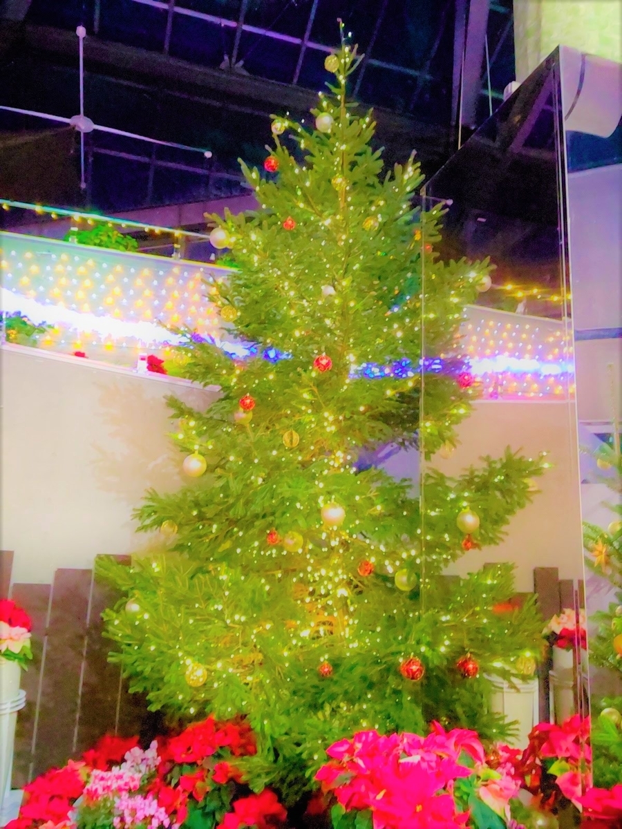 f:id:viva-la-noche:20191225101550j:plain f:id:viva-la-noche:20191225101550j:plain