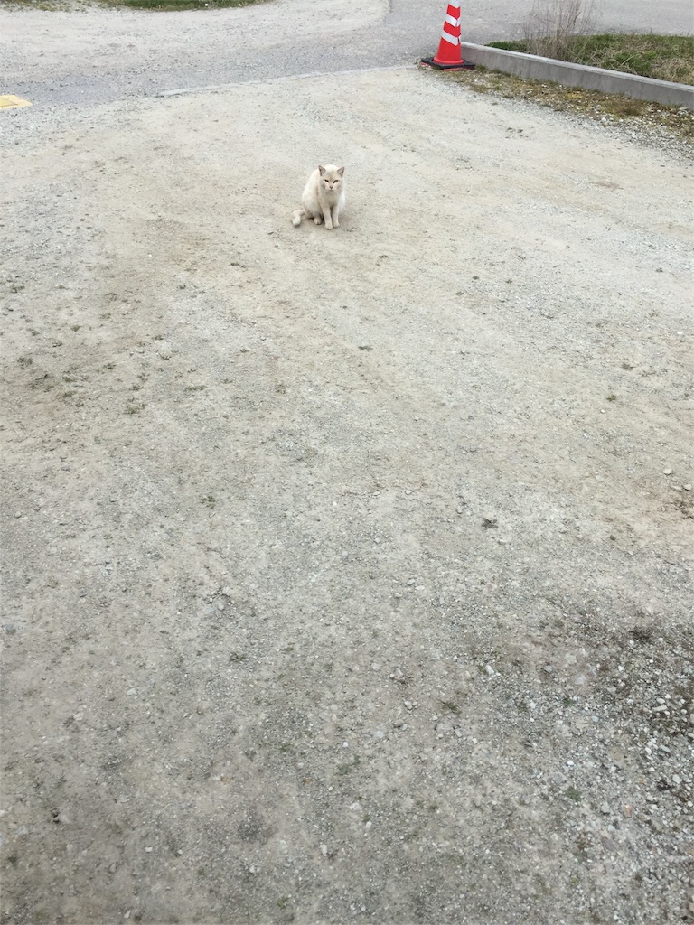 f:id:vivace1:20170407130249j:image