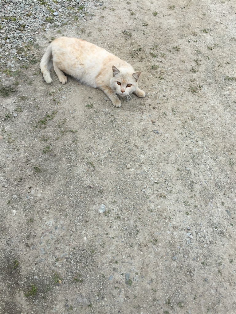 f:id:vivace1:20170407130544j:image