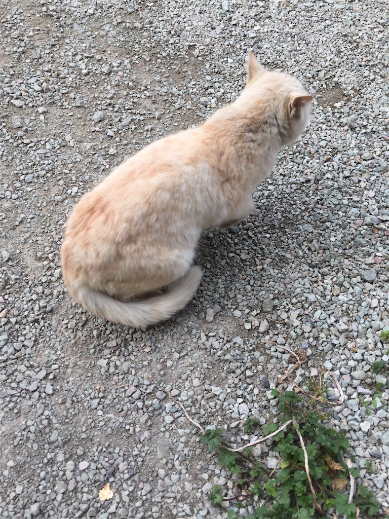 f:id:vivace1:20170407130620j:image