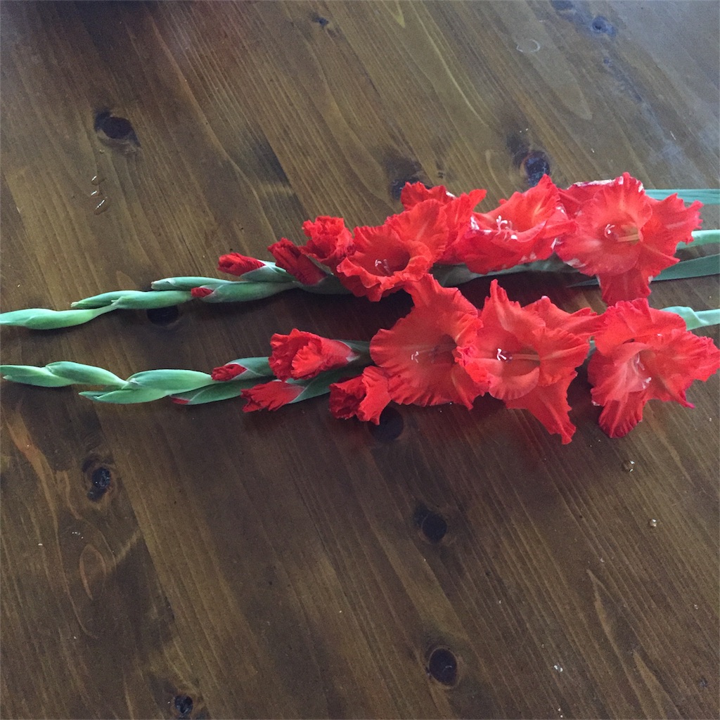 f:id:vivace1:20170819214934j:image