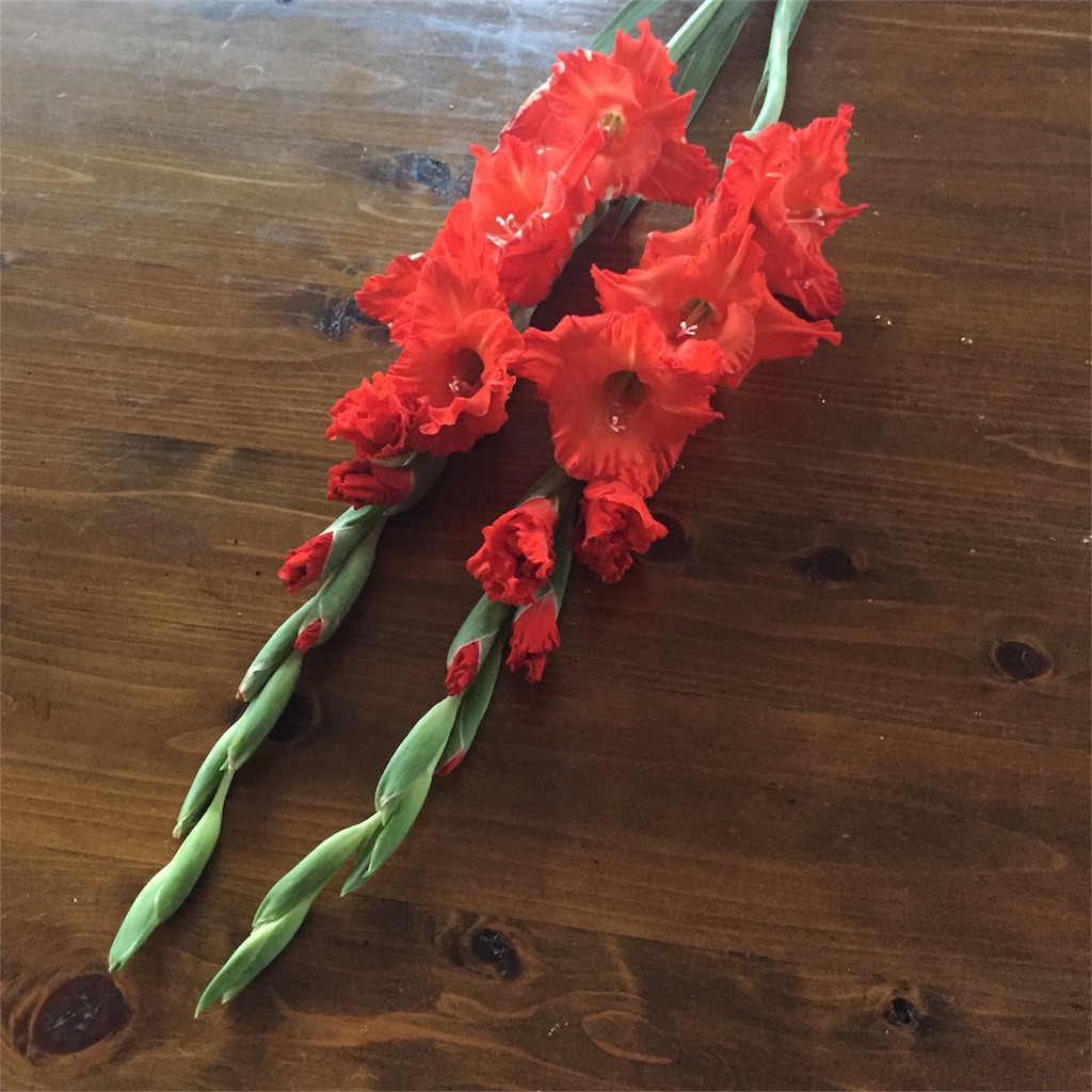 f:id:vivace1:20170819214938j:image