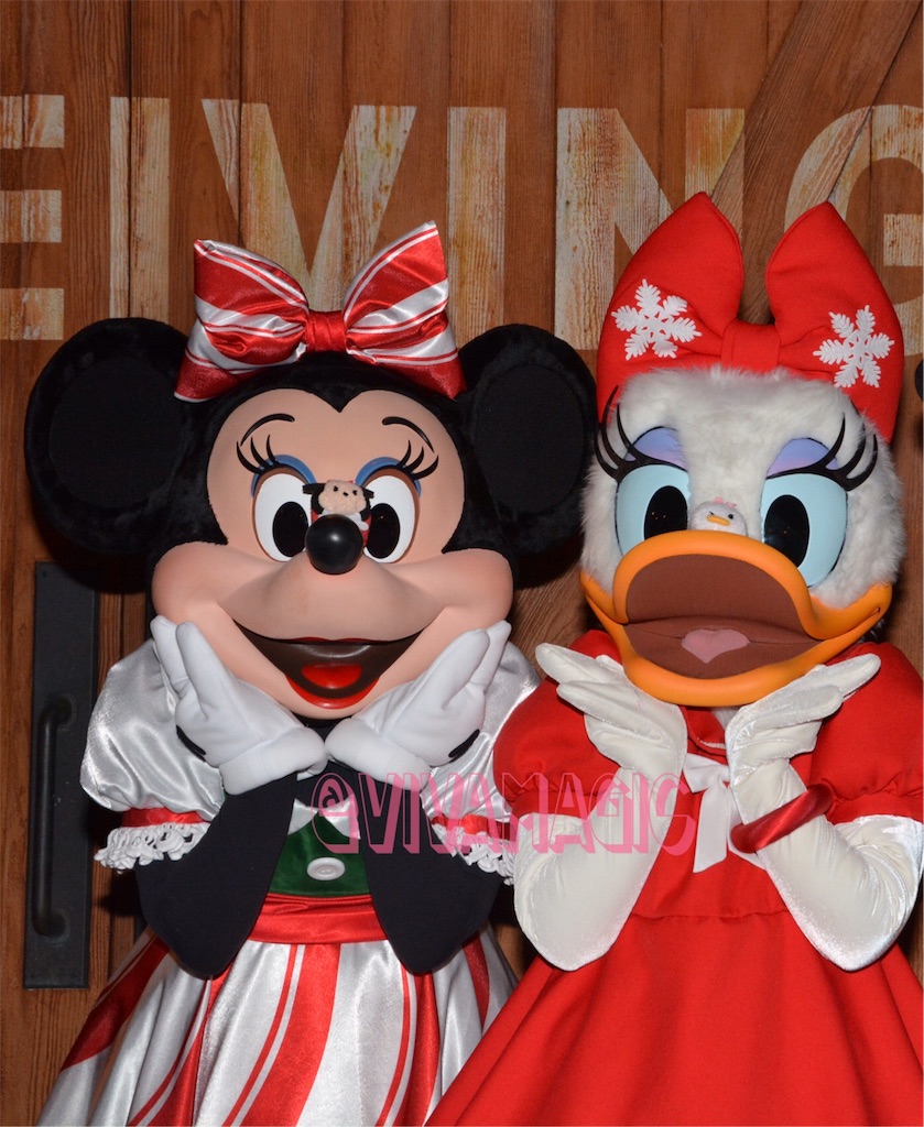 f:id:vivamagic:20180628202613j:image f:id:vivamagic:20180628202613j:image