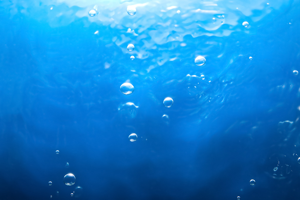 f:id:vivere_carpediem:20160723090519j:plain