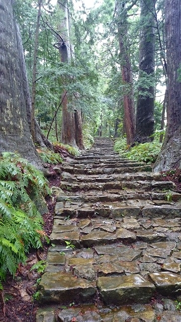 熊野古道の石段