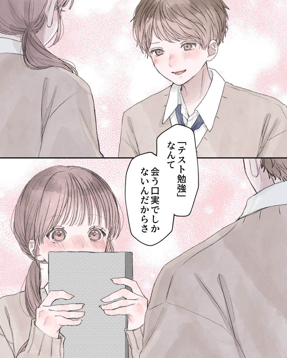 「テスト勉強なんて、会う口実でしかないんだからさ」