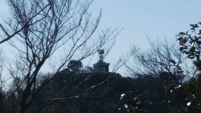 f:id:vivid_783:20161224223439j:image f:id:vivid_783:20161224223439j:image