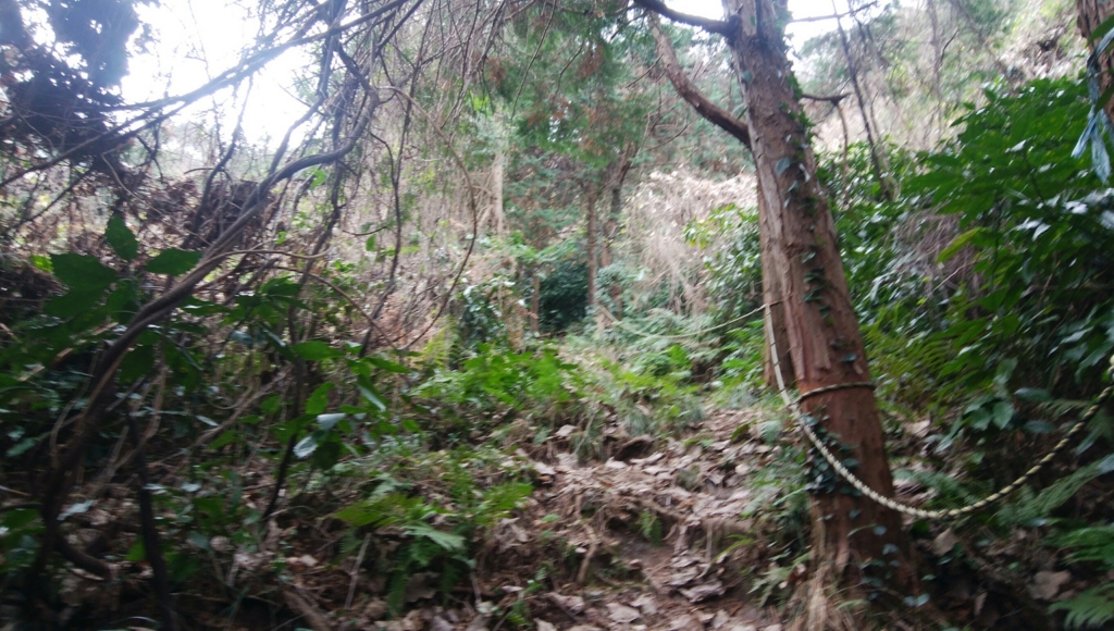 f:id:vivid_783:20170225102131j:plain