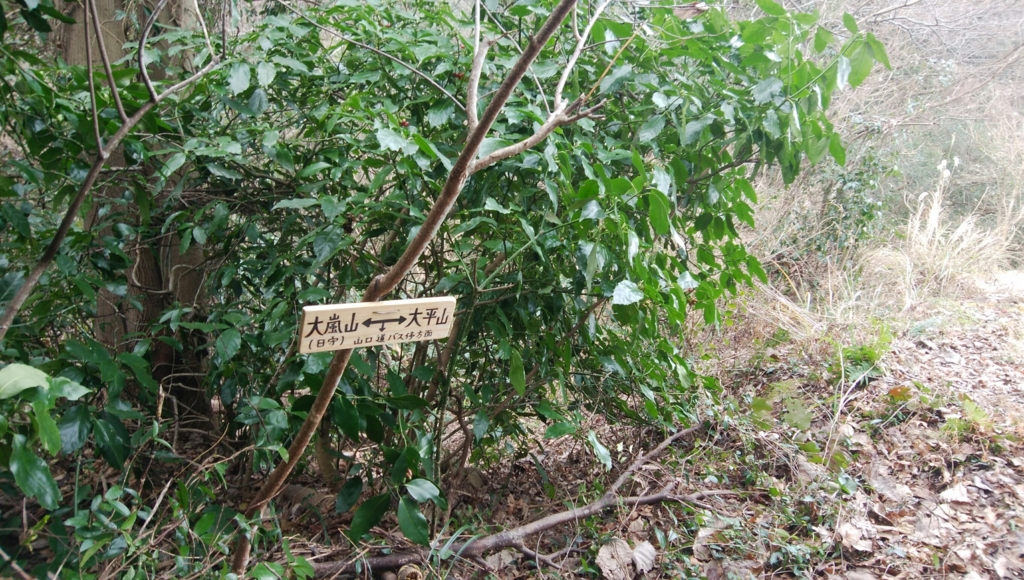 f:id:vivid_783:20170225102341j:plain