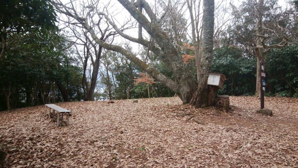 f:id:vivid_783:20170225110224j:plain