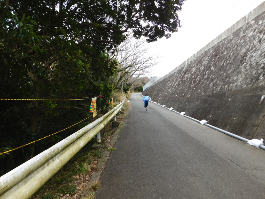 f:id:vivid_783:20170225113426j:plain