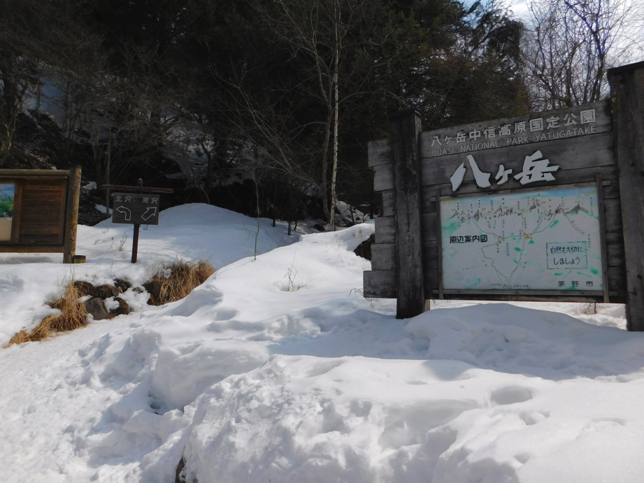 f:id:vivid_783:20170320224148j:plain