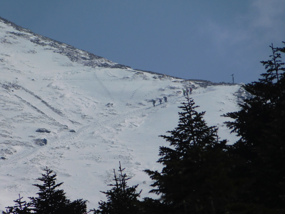 f:id:vivid_783:20170320224322j:plain