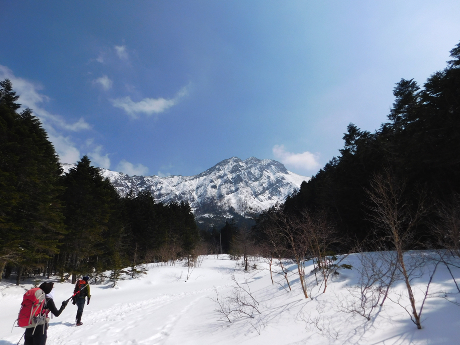 f:id:vivid_783:20170320224333j:plain