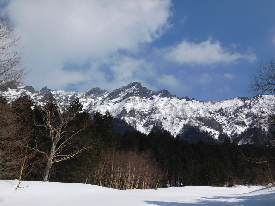 f:id:vivid_783:20170320224558j:plain