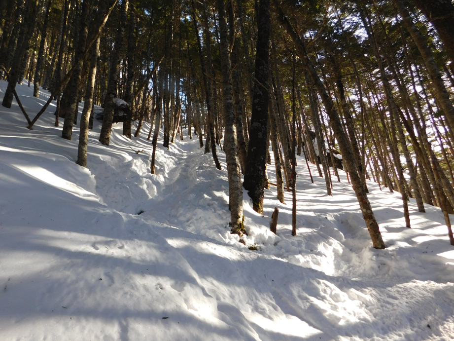 f:id:vivid_783:20170321211202j:plain