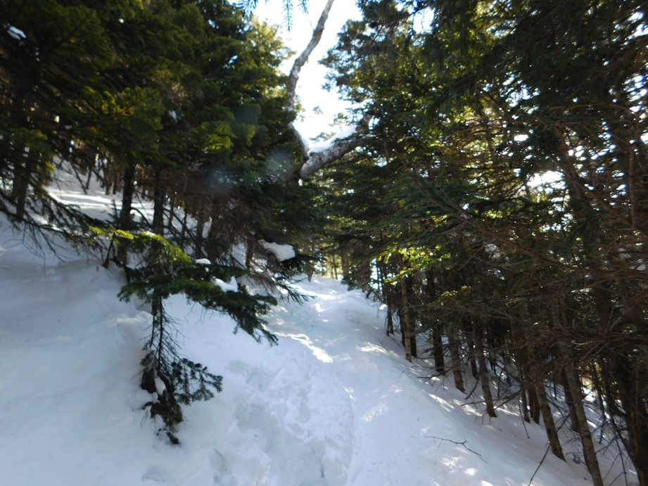 f:id:vivid_783:20170321211230j:plain