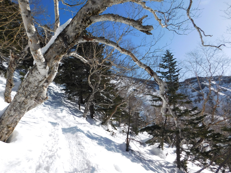 f:id:vivid_783:20170321211258j:plain