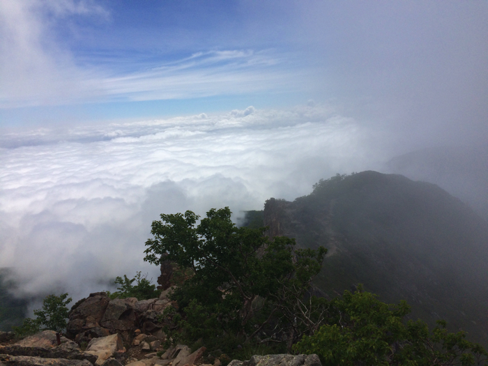 f:id:vivid_783:20170408192814j:plain