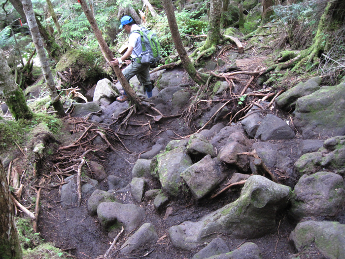 f:id:vivid_783:20170408193012j:plain