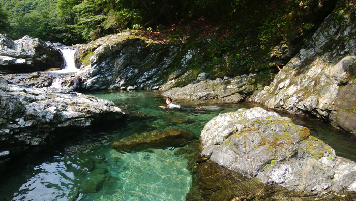 f:id:vivid_783:20170710212720j:plain