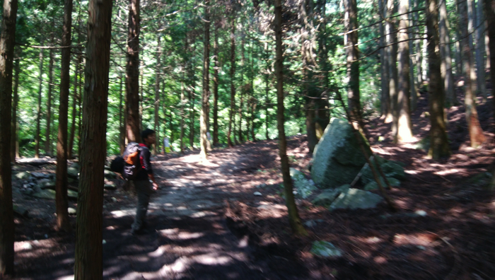 f:id:vivid_783:20170710214855j:plain