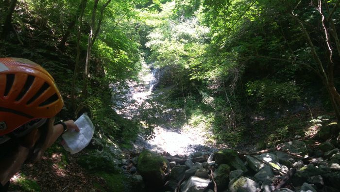 f:id:vivid_783:20170710215346j:plain