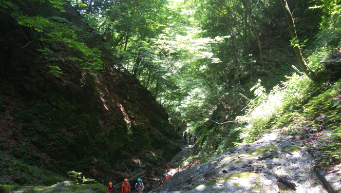 f:id:vivid_783:20170710220136j:plain