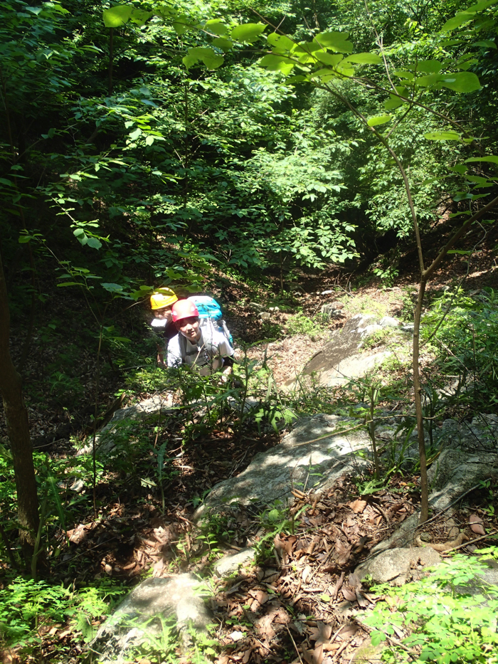 f:id:vivid_783:20170710220707j:plain