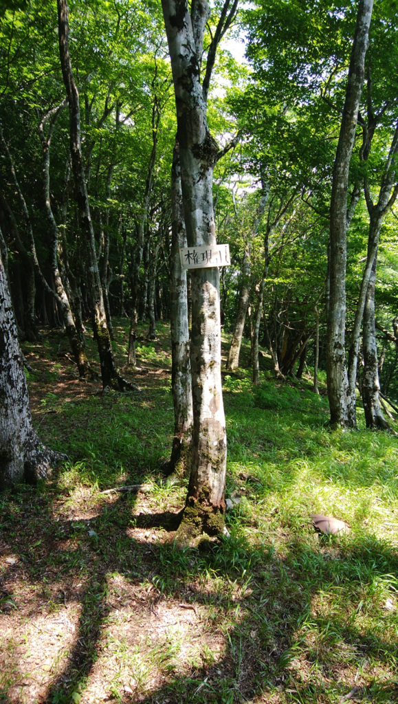 f:id:vivid_783:20170710221725j:plain