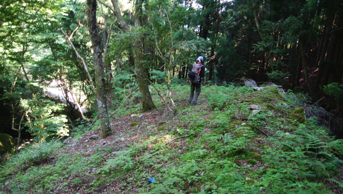 f:id:vivid_783:20170710222249j:plain