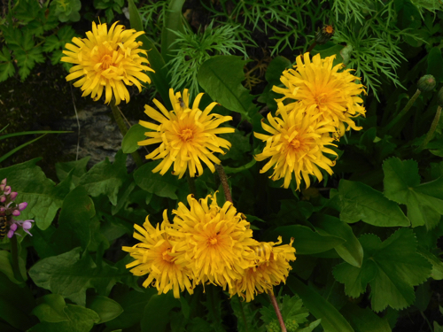 f:id:vivid_783:20170916212659j:plain