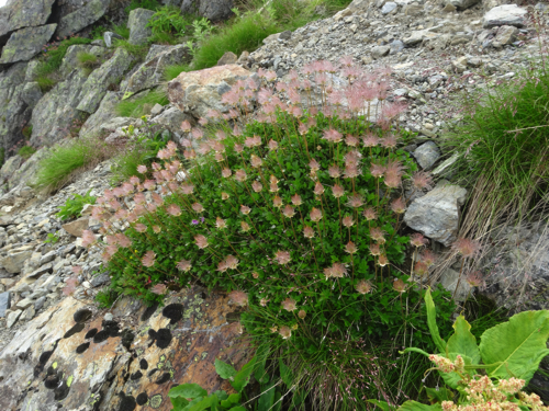 f:id:vivid_783:20170917202309j:plain