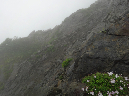 f:id:vivid_783:20170917202910j:plain