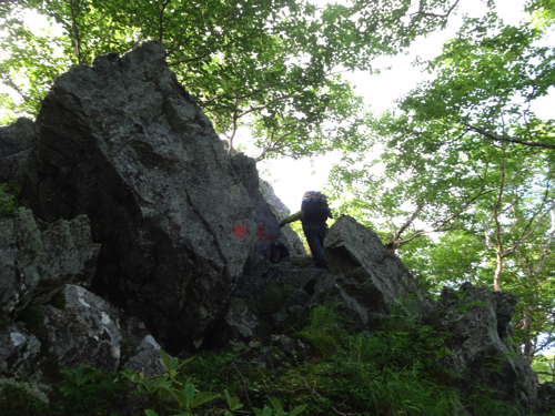 f:id:vivid_783:20170917215901j:plain