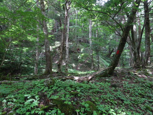 f:id:vivid_783:20170917220649j:plain